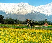 Manali-tour-package