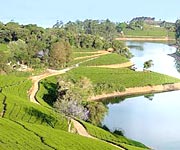 Kodaikanal Weekend  package tour