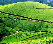 Munnar Weekend package tour