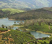 Yelagiri package tour